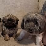 Sasha&Tyson - @sashi_n_tyshi - Instagram