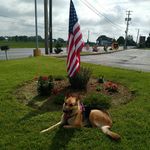 Sasha Ward - @truckin_sasha - Instagram