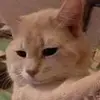 Саша Ткач - @sashaweaver7 - TikTok