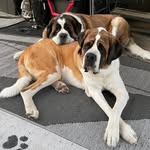 Sasha Weaver - @stmweaver - Instagram