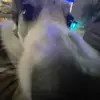 sasha - @sasha..weiss - TikTok