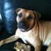 Sasha Wiggins - Facebook