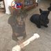 Sasha Wiggins - Facebook