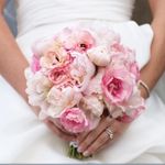 Sasha Wilkinson - @m.wilkinson406 - Instagram