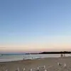 saskia - @saskiaandersonn - TikTok