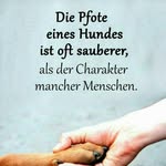 saskia mayer - @saskia2164 - Instagram