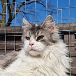Saskia Müller - @saskiamuller60 - Instagram