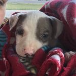 Sassy Johnson - @sassyfrass720 - Instagram