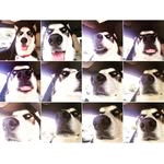 Satinder bhatti - @satinder2880 - Instagram