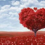 Satinder Bhogal Darapuria - Facebook