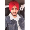 Satinder Dhaliwal - @satinder_dhaliwal - TikTok