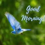Satinder Hundal - @satinder2432 - Instagram