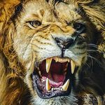 Satinder Johal - @satinder7697 - Instagram