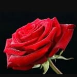 Satinder Kohli - @satinder.kohli.50 - Instagram