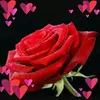 Satinder Kohli - @satinderkohli0 - TikTok