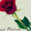 Satinder Sangha - @satindersangha - TikTok