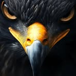 Satinder Sidhu - Facebook