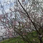 Satinder Sidhu - @satinder_sidhu13 - Instagram
