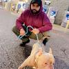 Satinder! - @singhsatinder08 - TikTok