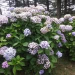Satinder Verma - @satinderkumarverma - Instagram