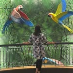 Satinder Kaur - @satinder_kaur_virdi - Instagram