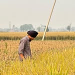 Satinder - @satinder_pal_gill - Instagram
