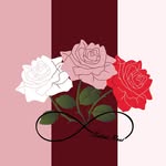 Satiné Rosé - @shiningroseofficial - Instagram
