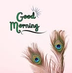 Satish Arora - Facebook