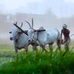 Sathish Bathula - Facebook