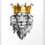 Satish Byali - @byali_satish - Instagram