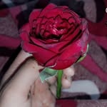 Satish Chavda - @sateasa_cavada - Instagram