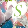 Satish Chavda - @satishchavda674 - TikTok