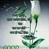 Satish Chopra - @satishchopra3 - TikTok