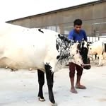 Satish Chopra - @satishchopra479 - Instagram