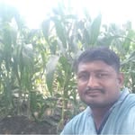 Satish dattatray jejurkar - @satishdattatrayjejurkar - Instagram