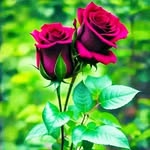 satish.Rakde.. - @satish_datta_rakde_ - Instagram