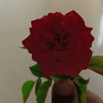 SATISH _DEVARA_�� - @_devara_satish_ - Instagram