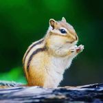 satish jena - @satishjena24 - Instagram