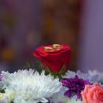 Satish Kakarla - @satish_kakarla_99 - Instagram