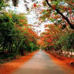 Satish Kamath - @satya_kam14 - Instagram