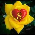 Satish Kanchi - @satish.kanchi.73 - Instagram