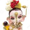 satish6565 - @satishkashyap165 - TikTok