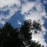 satish - @satishkonduri - Instagram