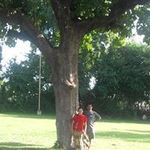 Satish Menon - @jarredeien_9 - Instagram