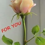 satish misra - @satishmisr - Instagram