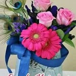 Satish Modha - @satish.modha.79 - Instagram