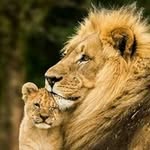 satish modhavadiya - @satishmodhavadiya31242 - Instagram
