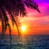 SATISHRAI - @satishrai289 - TikTok