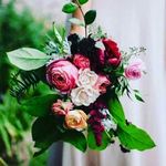 paridhi Saxena - @satish.saxena.9584 - Instagram