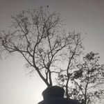 Satish Shahi - @satishshahi20 - Instagram